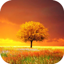 Awesome-Land Pro Livewallpaper APK