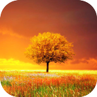 Awesome-Land Pro Livewallpaper أيقونة