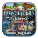 Cosculluela Musicas Letra APK