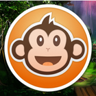Mr Monkey ícone
