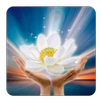 Phật Đàm - Vietnamese Buddhism APK