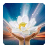 Phật Đàm - Vietnamese Buddhism