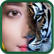 Animal Spirit- Face Photo Morphing