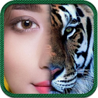 Animal Spirit أيقونة