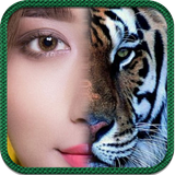 Animal Spirit أيقونة