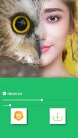 Animal Spirit تصوير الشاشة 2