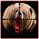 Jungle Bear Hunting Shoot 2017 APK