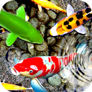 Derniers poissons Live Wallpaper avec natation Koi APK