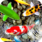 ikon Latest KOI Fish Live Wallpaper : Fish Backgrounds