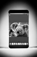 Easily sketch your image 截图 1