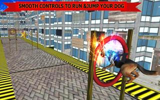 German Shepherd Dog:Russian Police Training School الملصق