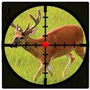 Deer Jungle Sniper Hunting Game APK