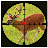 Deer Jungle Sniper Hunting Game