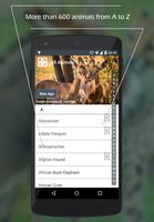 All Animals スクリーンショット 1