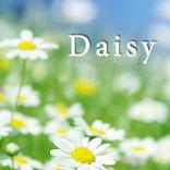 Daisy Theme for Xperia