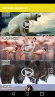 Animals and Ringtones bài đăng