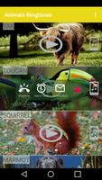 Animals and Ringtones ảnh chụp màn hình 2