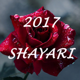2017 Hindi Shayari (Offline) icône