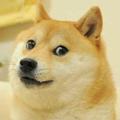 Live Doge Paper