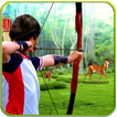Archery Hunting Master