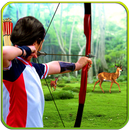 Archery Hunting Master APK