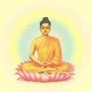 APK Buddha Words พุทธวจนะ 2.0