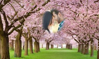 Spring Photo Frames 海報