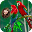 APK Parrot Photo Frames HD