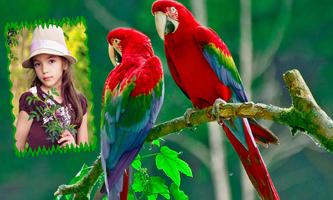 Parrot Photo Frames HD постер