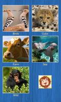 Puzzles Deslizantes Animales Poster