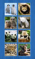 Animals Slide Puzzles تصوير الشاشة 3