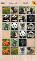 Animals Memory poster