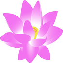 Cuidar de Orquídeas APK