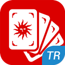 Tarot Kartları ve Anlamları APK