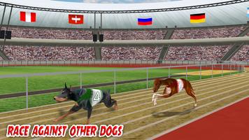 Real Crazy Dog Racing 2017 Affiche