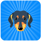 Puppy Crush icon