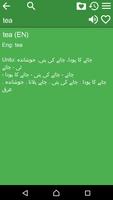 English Urdu Dictionary imagem de tela 1