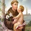 St Antony's Novena APK