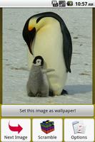 Penguin Puzzle poster