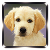 Dog Sounds APK