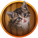 cat kitten kitty Jigsaw Puzzle APK