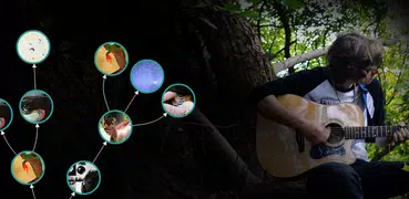 Songtree - Collaborative Music