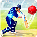 世界クリケットスーパーリーグT20フィーバー：クリケット2018 APK