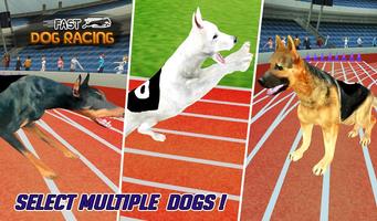 Fast Dog Racing 3D Poster