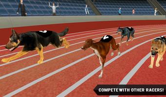 Fast Dog Racing 3D captura de pantalla 1