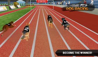 Fast Dog Racing 3D captura de pantalla 2