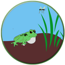 Active Frog aplikacja