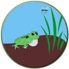 ikon Active Frog