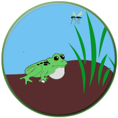 Active Frog icon