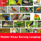 Master Suara Burung Lengkap ikona